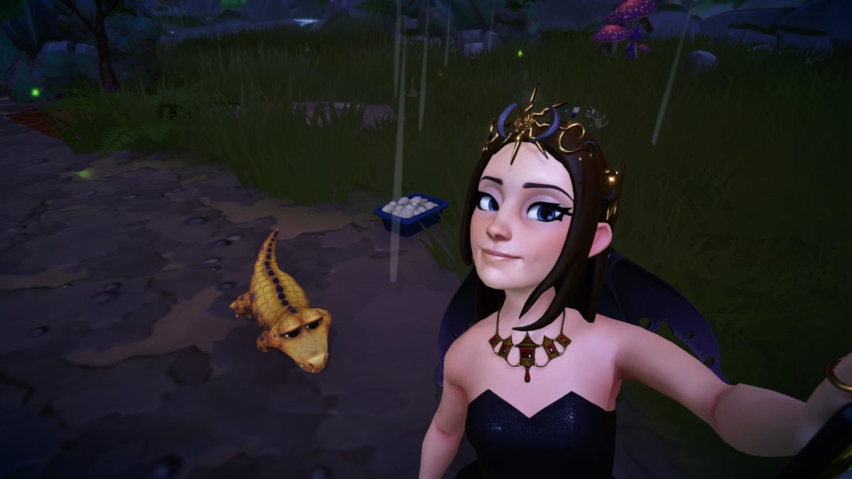 What To Feed Crocodiles