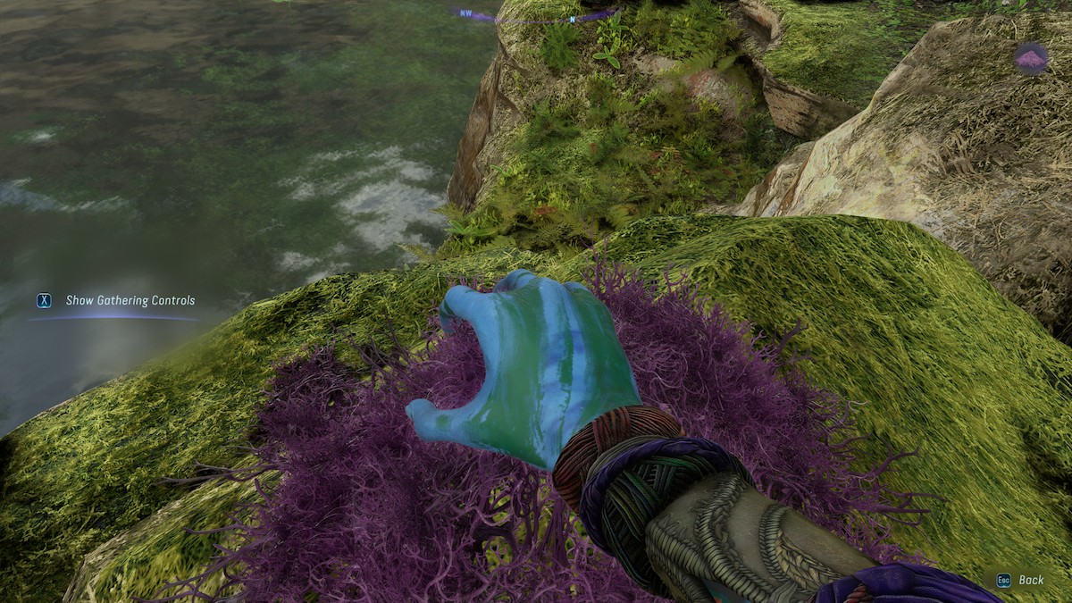 Where To Find Moss In Avatar Frontiers Of Pandora
