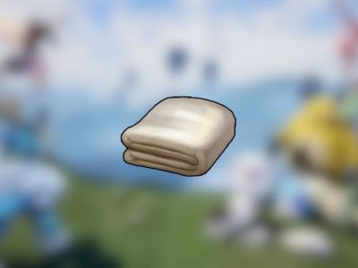 High Quality Cloth Palworld