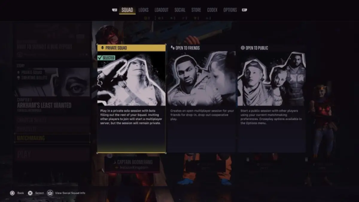 Suicide Squad Multiplayer Matchmaking Options