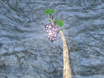 Ffxiv New Items Patch 6.55