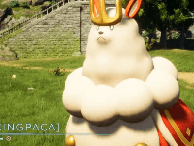 Kingpaca