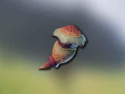 Ammonia Glands Featured Image