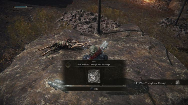 What are the gold and silver footprints in Elden Ring? Answered