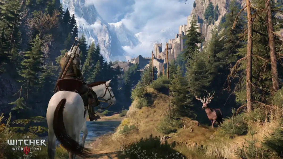 Witcher 3 World and Exploration