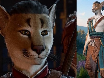 Baldurs Gate 3 Players Tabaxi Mod Is Looking Incredible So Far