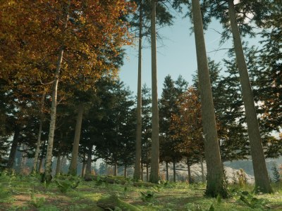 Do Trees Regrow In Nightingale