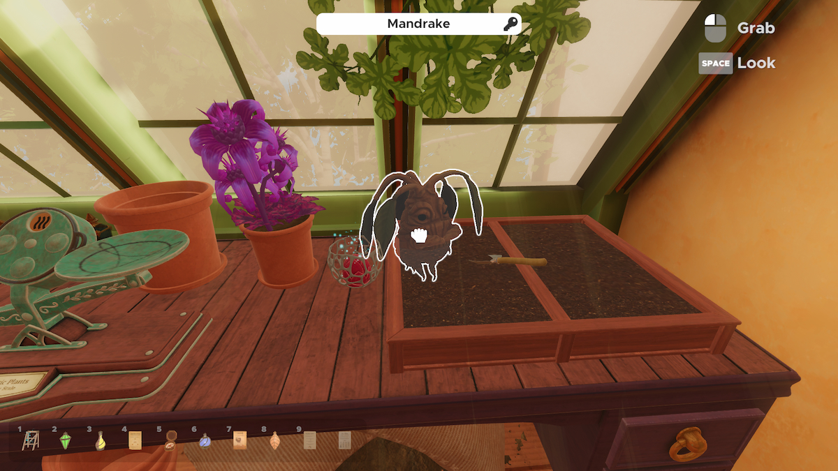 Mandrake In Escape Simulator