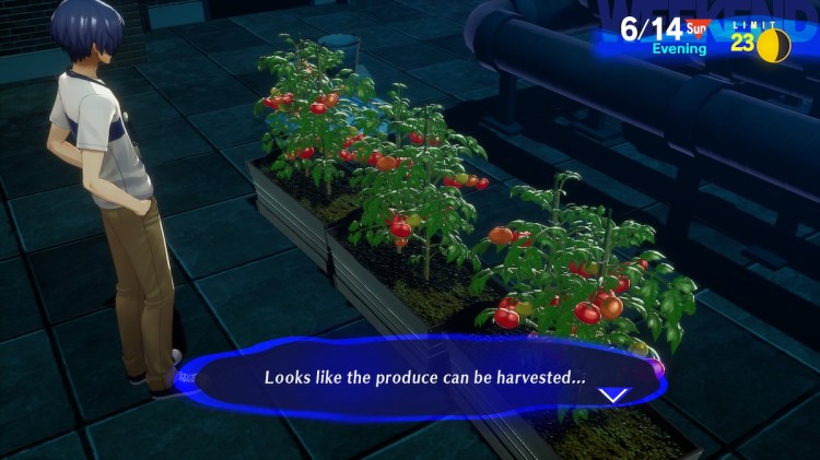 Persona 3 Reload All Gardening Seeds And Where To Get Them Sprouts