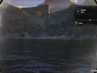 Spotting Acacia In Skull And Bones