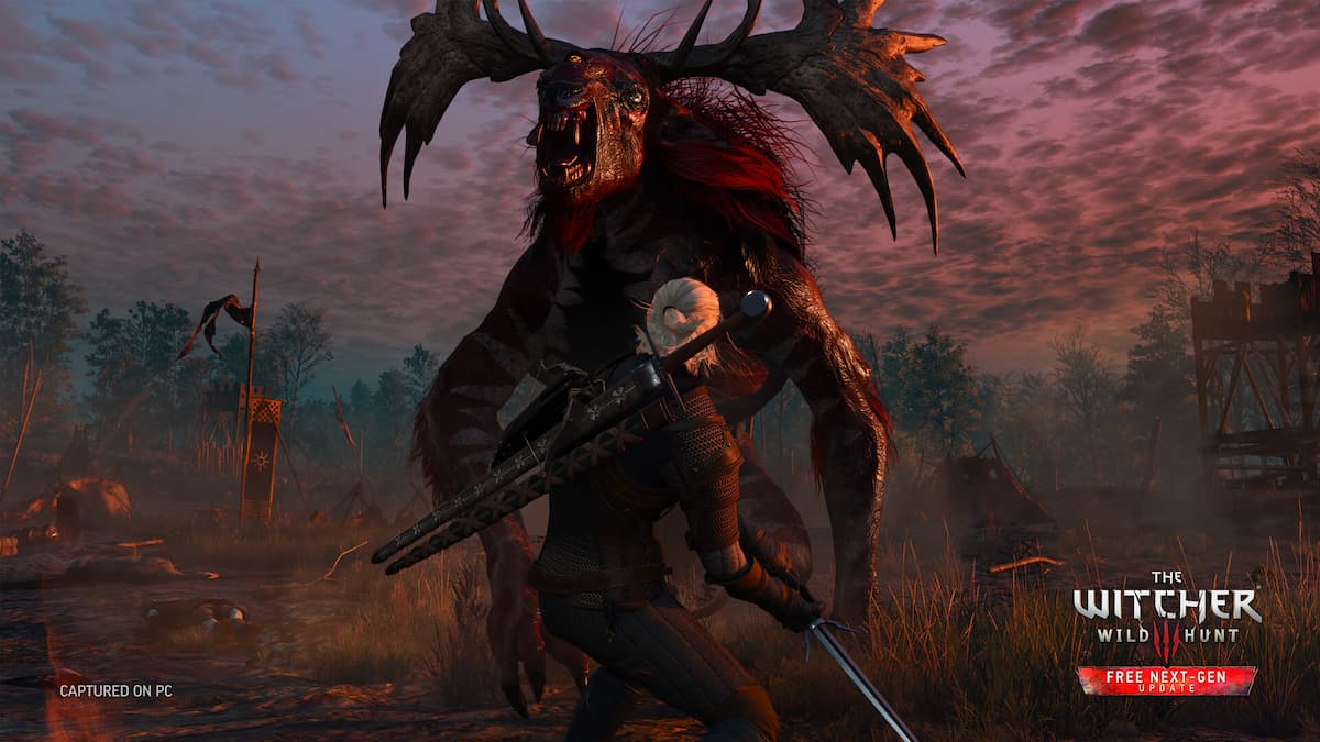 The Witcher 31