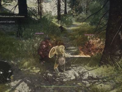 Best Fighter Build In Dragon's Dogma 2 Gameplay