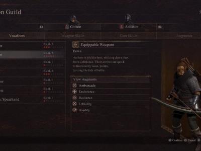 Different Vocations Dragon's Dogma 2