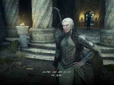 Dragon's Dogma 2 Elvish