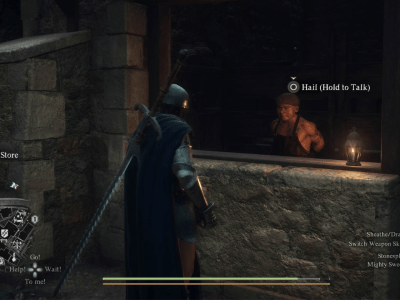 How to duplicate items in Dragon's Dogma 2