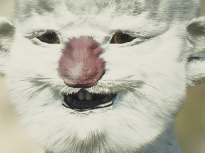 Dragon's Dogma 2 Moogle