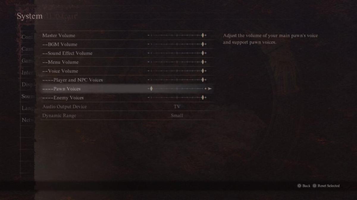 Dragon's Dogma 2 Pawn Options