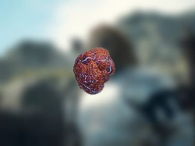 How to get the Eternal Wakestone in Dragon's Dogma 2