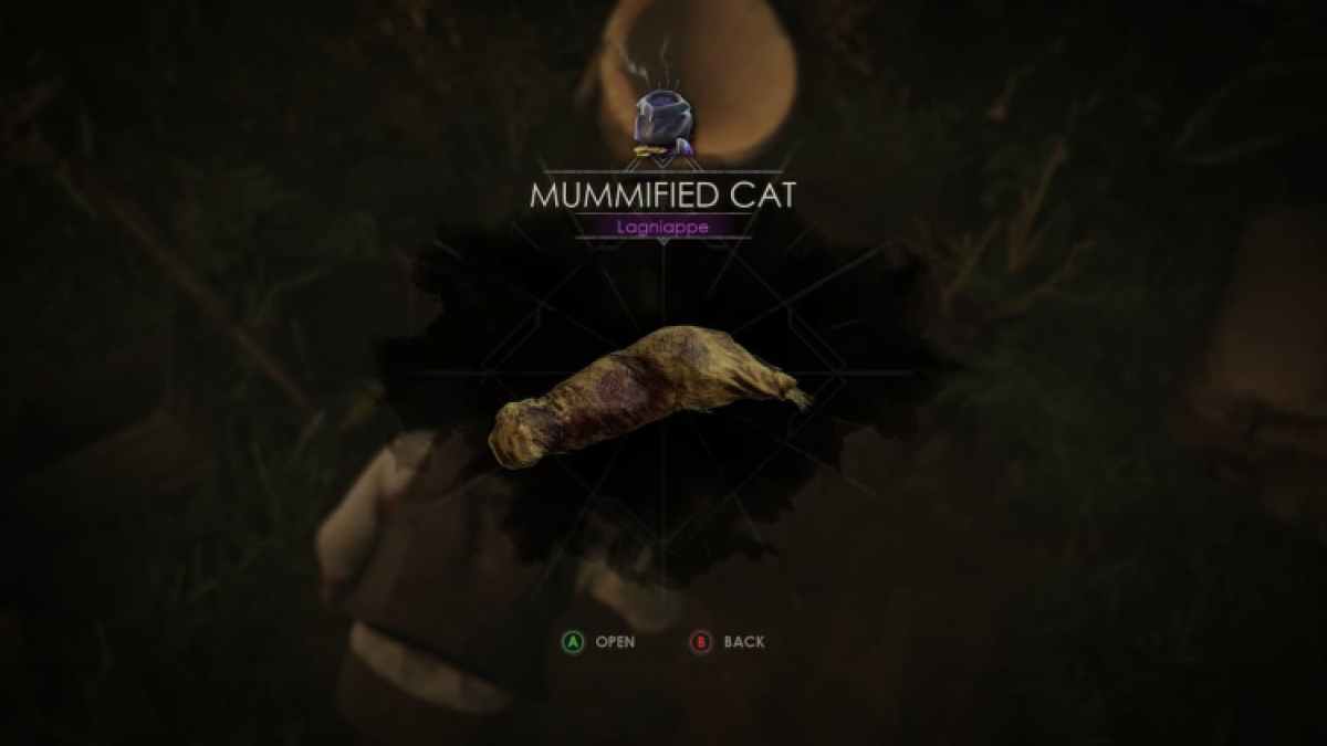 All Lagniappes In Alone In The Dark Mummified Cat