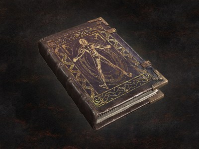 Art Of Metamorphosis In Dragon's Dogma 2