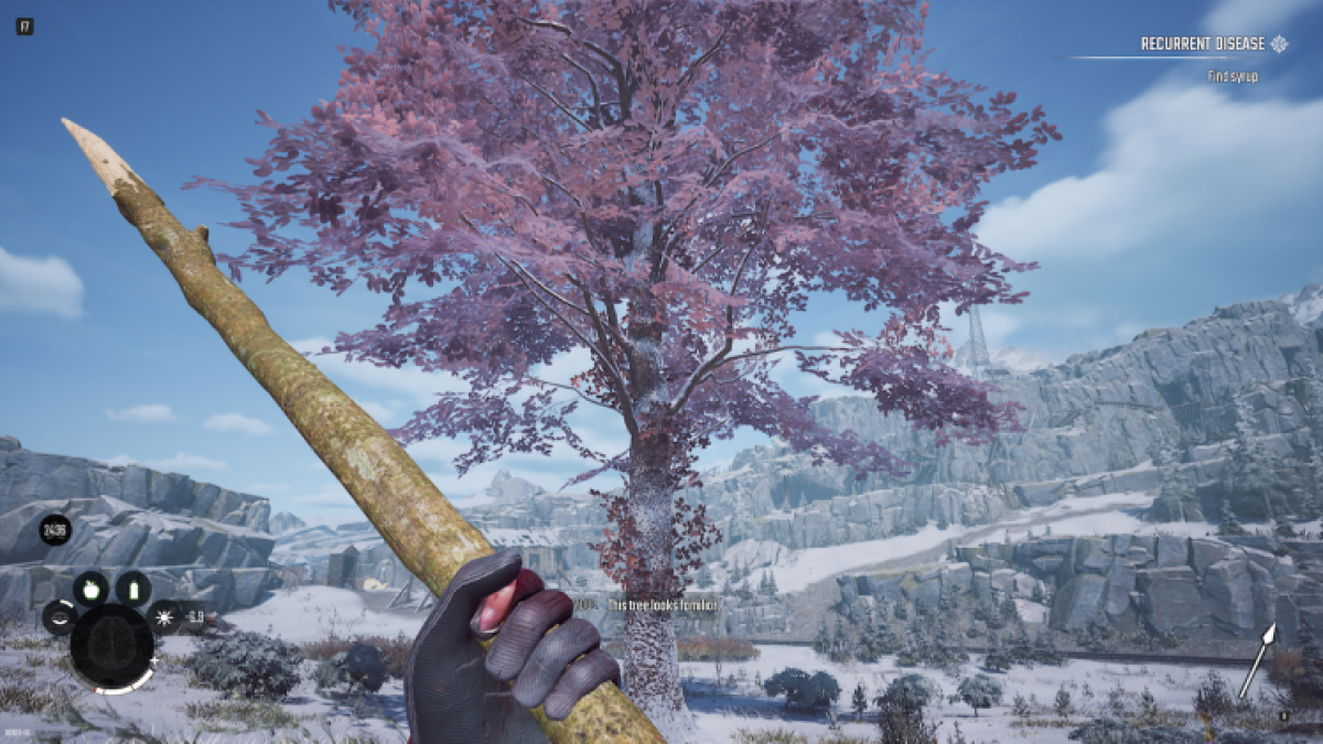 Cherry Tree In Winter Survival