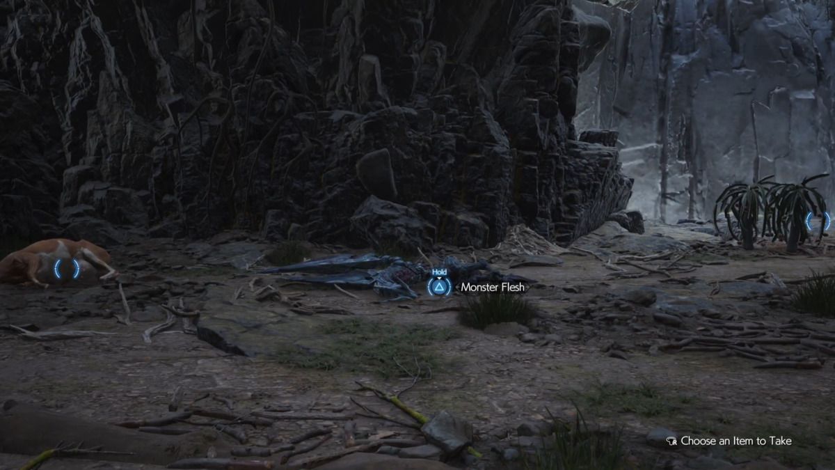 Final Fantasy 7 Rebirth Condor Food Monster Flesh