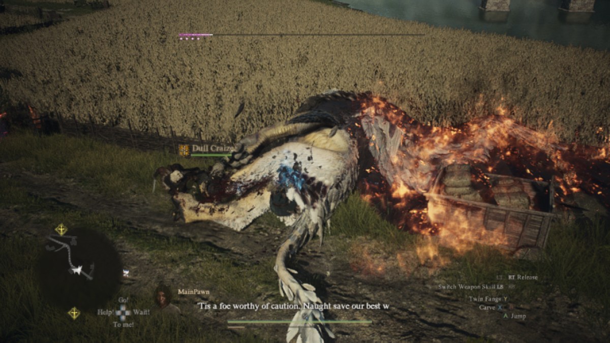 Griffin Fight Dragon's Dogma 2