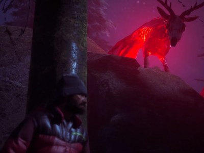 Insaanity In Winter Survival