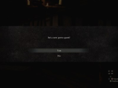 Setting Pawn Quest In Dragon's Dogam 2