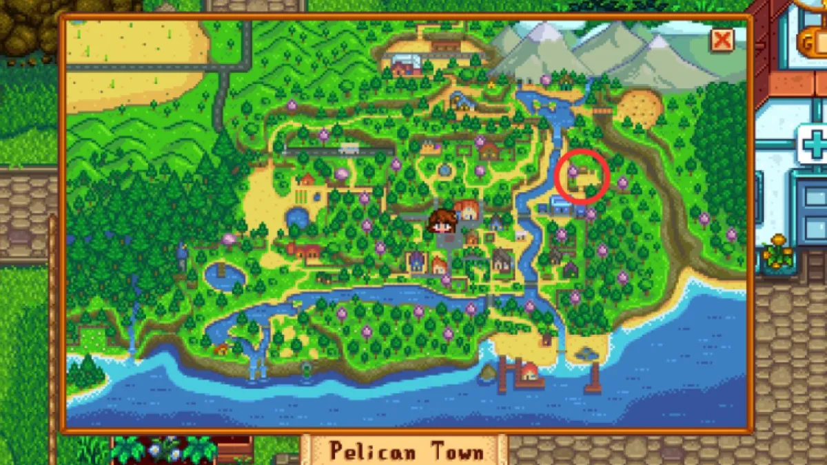 Where To Find The Bookseller In Stardew Valley 1.6 Map