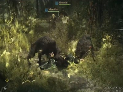 Wolf Attack Dragon's Dogma 2