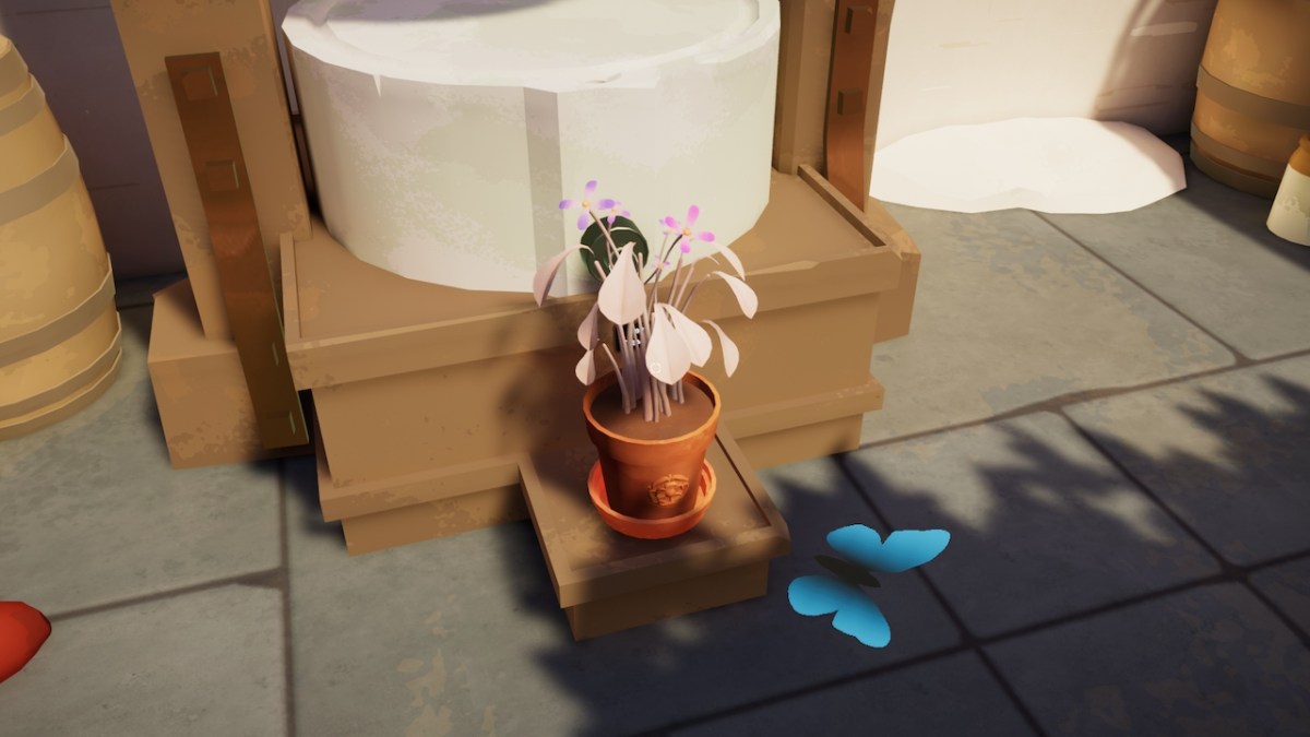 Botany Manor How To Grow Pixie Tears