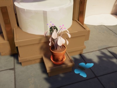 Botany Manor How To Grow Pixie Tears