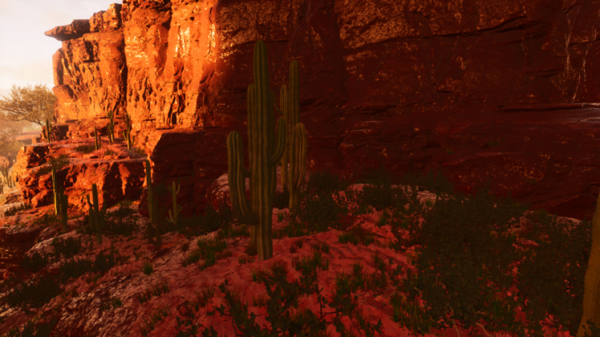 Cacti Ina Rk Survival Ascended