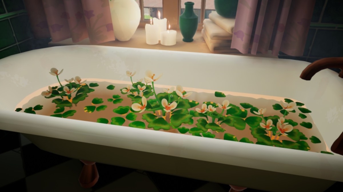 How To Grow Brook Chalice In Botany Manor Bathtub