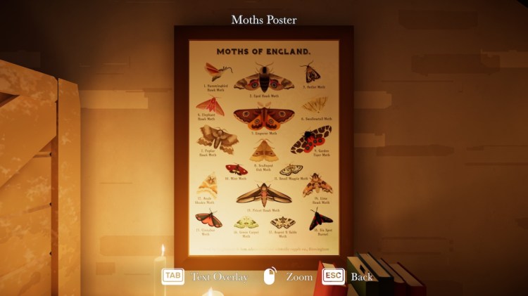 How To Grow Nightfall In Botany Manor Moth Poster