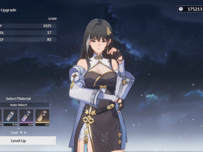 When Should You Level Up Characters In Wuthering Waves Answered