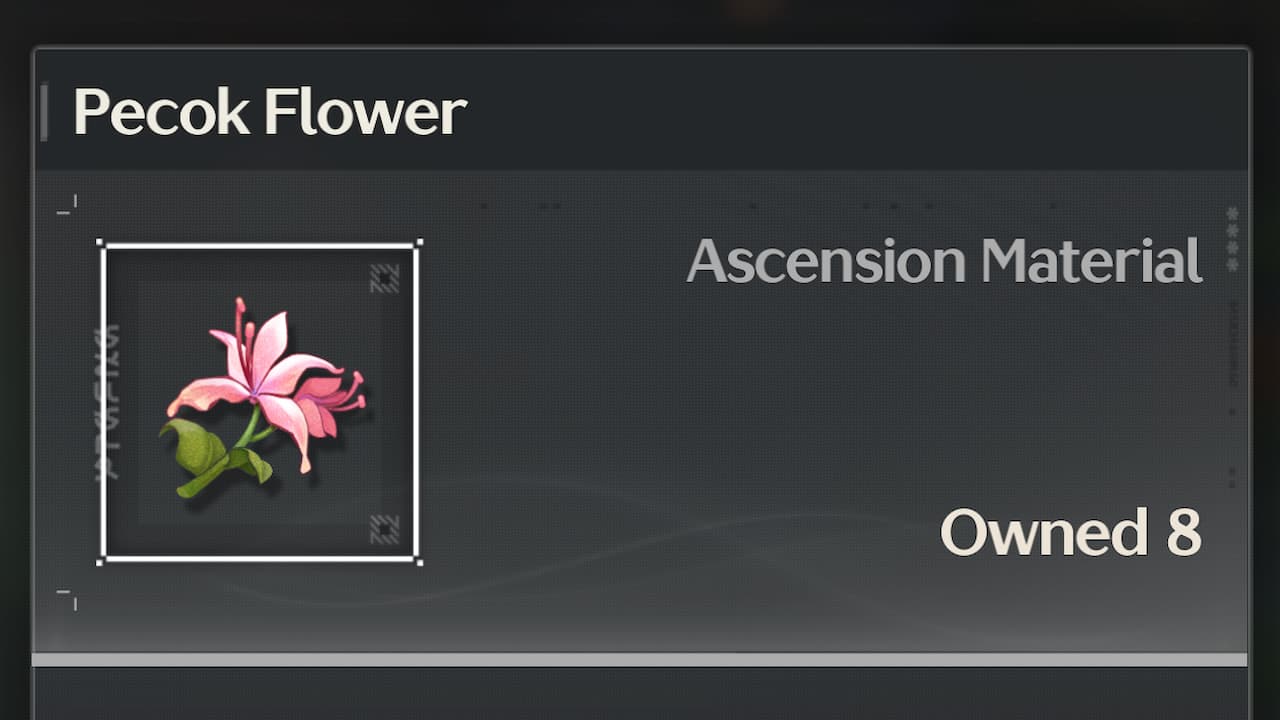 How to farm Pecok Flowers to ascend characters in Wuthering Waves