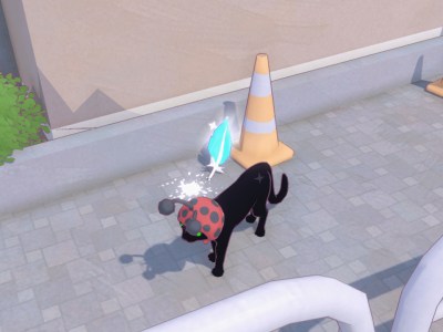 Feather In Little Kitty Big City