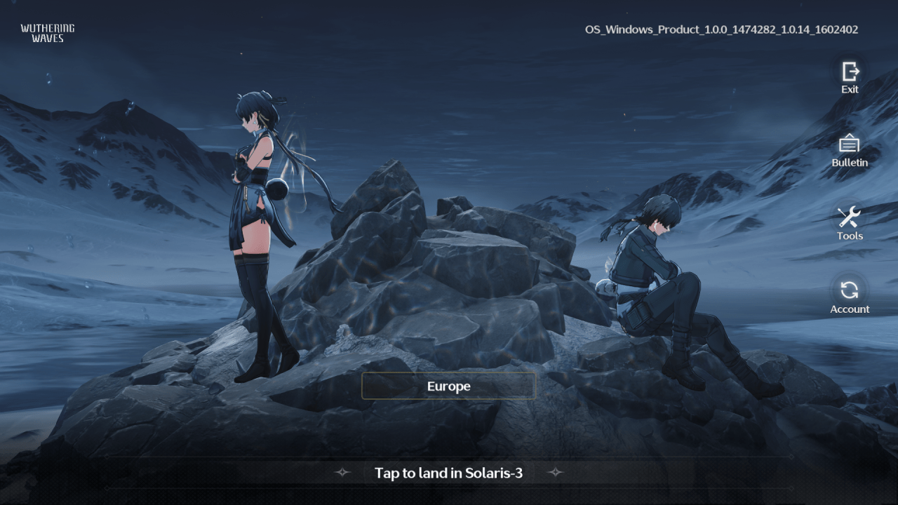 Friend Requests Wuthering Waves