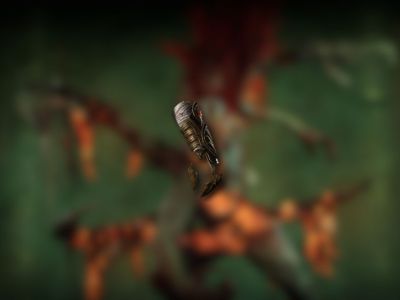 How To Get The Flameweaver Unique In Diablo 4