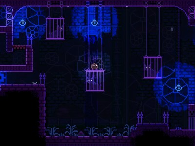 How To Unlock The Cat Cages And The Door In Animal Well