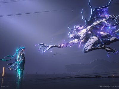 Wuthering Waves Crossplay