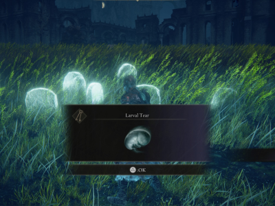 Larval Tear Locations In Shadow Of The Erdtree